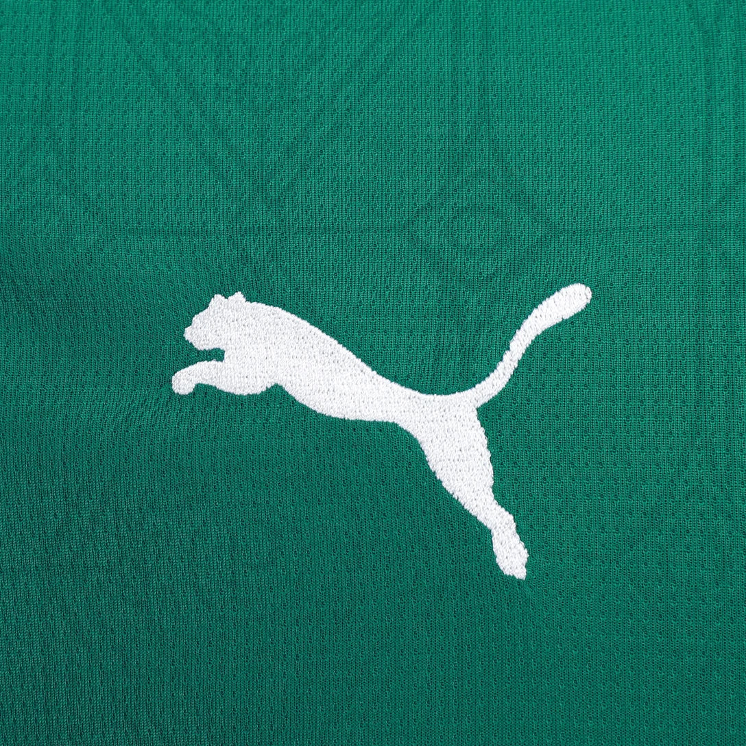 Palmeiras 25/26 I Home Jersey - Fan Version