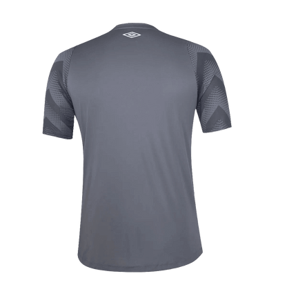 Santos 24/25 Goalkeeper Jersey - Gray - Fan Version